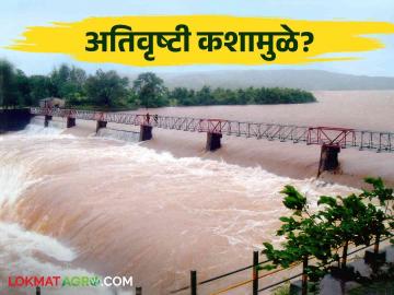 काही भागांत अतिवृष्टी तर काही ठिकाणी अजूनही दुष्काळ कशामुळे? - Marathi News | Why heavy rainfall in some areas and still drought in some places? | Latest News at Lokmat.com काही भागांत अतिवृष्टी तर काही ठिकाणी अजूनही दुष्काळ कशामुळे? - Marathi News | Why heavy rainfall in some areas and still drought in some places? | Latest News at Lokmat.com