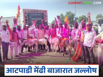 आटपाडीचा शेळी-मेंढी बाजार तेजीत; मेंढीला मिळाला ३४ हजार रुपयांचा विक्रमी दर - Marathi News | Atpadi goat and sheep market: A sheep sells for 34 thousand in the market | Latest News at Lokmat.com