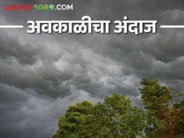 Maharashtra Weather Update आज अवकाळी पावसाचा अंदाज - Marathi News | Maharashtra Weather Update Unseasonal rain forecast today | Latest News at Lokmat.com