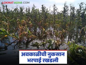 पंचनामा झाला, ई-केवायसी केली; सात महिने होऊन गेले नक्की मदत मिळणार तरी कधी? - Marathi News | Panchnama done, e-KYC done; It's been seven months, when will we get any help? | Latest News at Lokmat.com