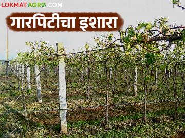 Maharashtra Weather Update : राज्यात अवकाळीचा मुक्काम वाढला; पुढील पाच दिवस पावसाचा इशारा - Marathi News | Maharashtra Weather Update : Unseasonal rains continue to linger in the state; Rain warning for next five days | Latest News at Lokmat.com Maharashtra Weather Update : राज्यात अवकाळीचा मुक्काम वाढला; पुढील पाच दिवस पावसाचा इशारा - Marathi News | Maharashtra Weather Update : Unseasonal rains continue to linger in the state; Rain warning for next five days | Latest News at Lokmat.com