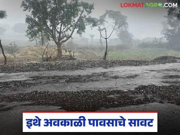 राज्यातील 'या' जिल्ह्यावर अवकाळीचे सावट, फेब्रुवारी व मार्च महिने धोक्याचे, वाचा सविस्तर  - Marathi News | Latest News Unseasonal weather conditions are expected in jalgaon district in February and March | Latest News at Lokmat.com