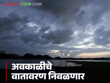 Maharashtra Weather Update : महाराष्ट्रातील अवकाळी पावसाचे वातावरण निवळणार का? वाचा सविस्तर  - Marathi News | Latest news Weather Update Will the unseasonal rains in Maharashtra end Read in detail | Latest News at Lokmat.com