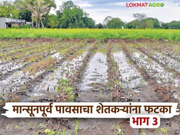 Avakali Paus: पिकं गेली, स्वप्नं विरली… आता पंचनाम्याचीच आशा वाचा सविस्तर - Marathi News | latest news Avakali Paus: Crops gone, dreams shattered… Now the hope of Panchnama Read in detail | Latest News at Lokmat.com