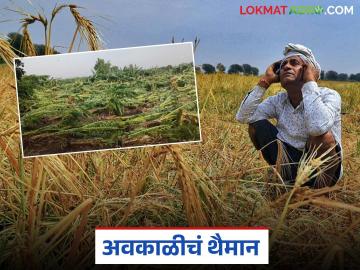 Marathawada Rain: १७ दिवसांच्या अवकाळी पावसाने मराठवाड्यात हाहाकार! वाचा सविस्तर हानीचा अहवाल - Marathi News | latest news Marathawada Rain :17 days of unseasonal rains wreak havoc in Marathwada! Read the detailed damage report. | Latest News at Lokmat.com Marathawada Rain: १७ दिवसांच्या अवकाळी पावसाने मराठवाड्यात हाहाकार! वाचा सविस्तर हानीचा अहवाल - Marathi News | latest news Marathawada Rain :17 days of unseasonal rains wreak havoc in Marathwada! Read the detailed damage report. | Latest News at Lokmat.com