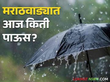 Marathwada Rain : मुसळधार पावसानंतर विश्रांती, मराठवाडा विदर्भात आज कुठे अन् किती पडणार पाऊस? - Marathi News | Marathwada Rain Rest after heavy rain where and how much rain will fall in Marathwada Vidarbha today? | Latest agriculture News at Lokmat.com