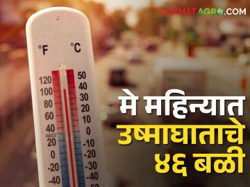 Heat stroke deaths: मे महिन्यात देशभरात उष्माघाताचे ४६ बळी - Marathi News | Heat stoke deaths: 46 victims of heat stroke across the country in the month of May | Latest News at Lokmat.com