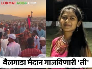 Women's Day : शिक्षण इयत्ता दहावी, पण बैलगाडा शर्यतीत तिनं भल्याभल्यांना आसमान दाखवलं! - Marathi News | Latest News bailgada Sharyat Womens day Sinnar's Kartiki Kangane shes famous bullock cart racer | Latest News at Lokmat.com