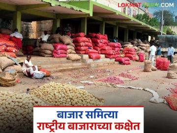 कृषी उत्पन्न बाजार समित्यांना राष्ट्रीय दर्जा दिला तर शेतकऱ्यांना कसा होणार फायदा? - Marathi News | How will farmers benefit if agricultural produce market committees are given national status? | Latest News at Lokmat.com कृषी उत्पन्न बाजार समित्यांना राष्ट्रीय दर्जा दिला तर शेतकऱ्यांना कसा होणार फायदा? - Marathi News | How will farmers benefit if agricultural produce market committees are given national status? | Latest News at Lokmat.com