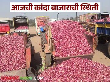 लाल कांदा आवक वाढली, 'या' कांद्याला सोलापूर, लासलगावमध्ये काय दर मिळतोय? - Marathi News | Latest News Kanda Bajarbhav See todays lal kanda market price in solapur and lasalgaon market yards | Latest News at Lokmat.com लाल कांदा आवक वाढली, 'या' कांद्याला सोलापूर, लासलगावमध्ये काय दर मिळतोय? - Marathi News | Latest News Kanda Bajarbhav See todays lal kanda market price in solapur and lasalgaon market yards | Latest News at Lokmat.com