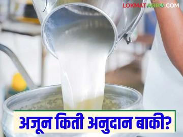Dudh Anudan : शासनाकडून दूध अनुदानासाठी ७५८ कोटींना नुसतीच मंजुरी; पैसे कधी मिळणार? - Marathi News | Dudh Anudan : Government approves only Rs 758 crore for milk subsidy; When will the money be received? | Latest News at Lokmat.com