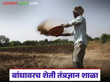 Agriculture News : इथं मिळतंय पेरणीपूर्व तयारीपासून ते काढणीपर्यंतचे तांत्रिक प्रशिक्षण, वाचा सविस्तर  - Marathi News | Latest News Here you can get technical training from pre-sowing preparation to harvesting, read in detail | Latest News at Lokmat.com