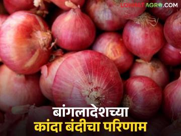 बांगलादेशच्या बंदीचा फायदा कुणाला; कांदा उत्पादकांना यंदाही बसणार का फटका? वाचा सविस्तर - Marathi News | Who benefits from Bangladesh's ban; Will onion producers be hit this year too? Read in detail | Latest News at Lokmat.com बांगलादेशच्या बंदीचा फायदा कुणाला; कांदा उत्पादकांना यंदाही बसणार का फटका? वाचा सविस्तर - Marathi News | Who benefits from Bangladesh's ban; Will onion producers be hit this year too? Read in detail | Latest News at Lokmat.com