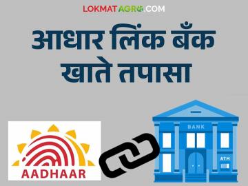 Bank Aadhar Link : तुमचा आधार नंबर कुठल्या बँकेला लिंक आहे? असे करा चेक - Marathi News | Latest News aadhar DBT link bank account status chek Find out in detail | Latest News at Lokmat.com