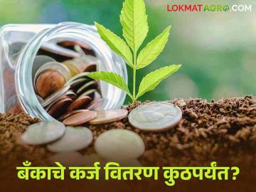 Crop Loan : भंडारा जिल्ह्यात बँकांनी किती कर्ज वाटप केलं? जाणून घ्या सविस्तर  - Marathi News | Latest News crop loan How much loan was distributed by banks in Bhandara district Know in detail  | Latest News at Lokmat.com