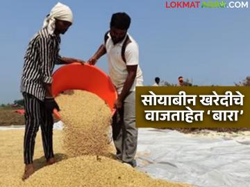 Soyabean Kharedi : सोयाबीन खरेदीची मुदत संपण्याआधी नवीन बारदाना टेंडर, नेमकं चाललंय काय? - Marathi News | Latest News Soyabean Kharedi New Bardana tender on January 9, purchase deadline ends on January 12, read in detail | Latest News at Lokmat.com Soyabean Kharedi : सोयाबीन खरेदीची मुदत संपण्याआधी नवीन बारदाना टेंडर, नेमकं चाललंय काय? - Marathi News | Latest News Soyabean Kharedi New Bardana tender on January 9, purchase deadline ends on January 12, read in detail | Latest News at Lokmat.com