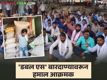 Latur APMC : 'डबल एस' बारदाण्यावरून लातूर मार्केट यार्ड ठप्प; हमालांचे काम बंद आंदोलन - Marathi News | latest news Latur APMC: Latur market yard blocked due to 'Double S' gunpowder; Strikers strike to stop work | Latest News at Lokmat.com