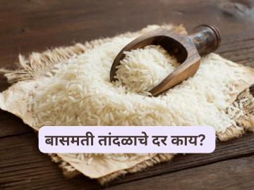 Rice Market : सलग दुसऱ्या वर्षी बासमती तांदळाच्या किमती घसरल्या, काय आहेत सध्याचे दर?  - Marathi News | latest News Rice Market Basmati rice prices down in punjab how was market rates | Latest News at Lokmat.com