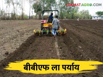 पेरणीसाठी बीबीएफ पेरणी यंत्र उपलब्ध नसल्यास कशी कराल पेरणी? - Marathi News | How to do sowing if BBF sowing machine is not available for sowing? | Latest News at Lokmat.com