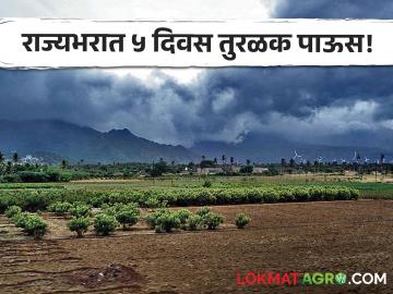 Maharashtra Rain : राज्यभरात तुरळक ठिकाणी पाऊस! ५ दिवसांत हवामान विभागाने काय दिले इशारे? - Marathi News | Maharashtra Rain in sporadic places across the state What warnings were given by the Meteorological Department in 5 days? | Latest agriculture News at Lokmat.com