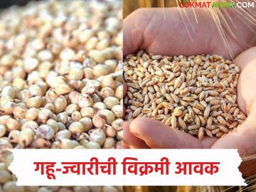 Beed APMC Market : गुढीपाडव्यानंतर 'या' मोंढ्यात उसळी; गहू-ज्वारीची विक्रमी आवक - Marathi News | latest news Beed APMC Market: After Gudi Padwa, 'this' market surges; Record arrival of wheat and jowari | Latest News at Lokmat.com Beed APMC Market : गुढीपाडव्यानंतर 'या' मोंढ्यात उसळी; गहू-ज्वारीची विक्रमी आवक - Marathi News | latest news Beed APMC Market: After Gudi Padwa, 'this' market surges; Record arrival of wheat and jowari | Latest News at Lokmat.com