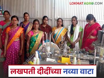 Lakhpati Didi Yojana: लखपती दीदींनी शोधल्या नव्या वाटा; उमेद अभियानातून मिळते नवी उमेद वाचा सविस्तर - Marathi News | Lakhpati Didi Yojana: Lakhpati Didi has discovered new paths; New hope from Umed Abhiyaan Read in detail | Latest News at Lokmat.com