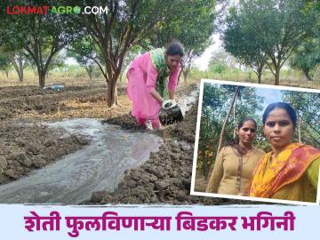 Women farmer story : महेंद्रीच्या घनदाट जंगलात शेती फुलविणाऱ्या कृषिकन्या बिडकर भगिनींचा संघर्षमय प्रवास - Marathi News | Women farmer story : Amravati farmer Bidkar sisters successful story read in details | Latest News at Lokmat.com Women farmer story : महेंद्रीच्या घनदाट जंगलात शेती फुलविणाऱ्या कृषिकन्या बिडकर भगिनींचा संघर्षमय प्रवास - Marathi News | Women farmer story : Amravati farmer Bidkar sisters successful story read in details | Latest News at Lokmat.com