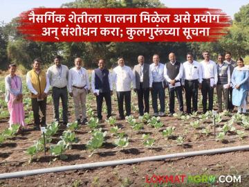 सरदार पेरूसहित ३१ वाण निर्माण करणाऱ्या कृषी संशोधन केंद्राला कुलगुरूंच्या 'या' सूचना - Marathi News | Vice Chancellor's 'this' instructions to the Agricultural Research Center that produces 31 varieties including Sardar Peru | Latest agriculture News at Lokmat.com