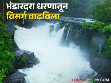 Bhandardara Dam : भंडारदरा धरण भरले, धरणातून विसर्ग किती? जाणून घ्या सविस्तर  - Marathi News | Latest News Bhandardara Dam is full, how much discharge from dam Know in detail  | Latest News at Lokmat.com