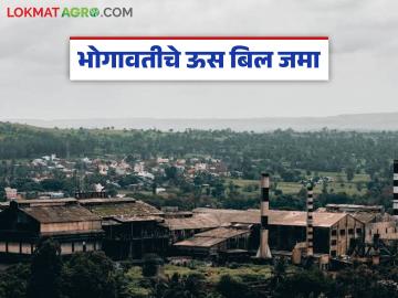 भोगावती कारखान्याचे प्रोत्साहनपर अनुदान अंतर्गत उस बिल शेतकऱ्यांच्या खात्यावर; कसा दिला दर? - Marathi News | Under the incentive subsidy of Bhogavati factory, sugarcane bill is on the farmers account; How was the rate paid? | Latest News at Lokmat.com