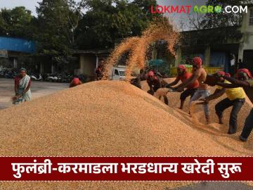 Shetmal Kharedi Kendra : शेतकऱ्यांना मोठा दिलासा; फुलंब्री–करमाडमध्ये भरडधान्य खरेदी केंद्रांचा शुभारंभ - Marathi News | latest news Shetmal Kharedi Kendra: Big relief for farmers; Inauguration of coarse grain procurement centers in Phulambri-Karmad | Latest News at Lokmat.com