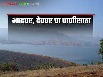 शेतकऱ्यांसाठी खुशखबर; नीरादेवघर व भाटघर धरणांतून १० मार्चला पाणी सोडणार - Marathi News | Good news for Farmers; Water will be released from Nira devghar and Bhatghar dams on March 10 | Latest News at Lokmat.com