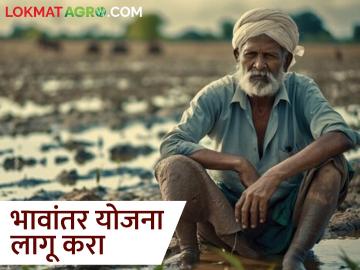 MSP खरेदीत अडथळे, भावांतर योजना लागू करा, शासन अन् शेतकऱ्याचं भलं होईल! - Marathi News | Latest news Obstacles in MSP procurement, implement Bhavantar scheme beneficial government and farmers! | Latest News at Lokmat.com