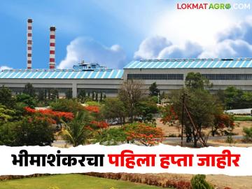 भीमाशंकर साखर कारखान्याचा पहिला हप्ता जाहीर; किती रुपयाने होणार पहिले पेमेंट? - Marathi News | First installment of Bhimashankar Sugar Factory announced; How much will the first payment be? | Latest News at Lokmat.com भीमाशंकर साखर कारखान्याचा पहिला हप्ता जाहीर; किती रुपयाने होणार पहिले पेमेंट? - Marathi News | First installment of Bhimashankar Sugar Factory announced; How much will the first payment be? | Latest News at Lokmat.com