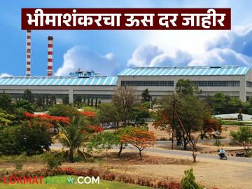 भीमाशंकर कारखान्याकडून अंतिम ऊस दर जाहीर; पुढील पंधरवड्याचे ऊस बिल किती रुपयाने मिळणार? - Marathi News | Bhimashankar factory announces final sugarcane price; How much will the sugarcane bill for the next fortnight be? | Latest farming-ideas News at Lokmat.com