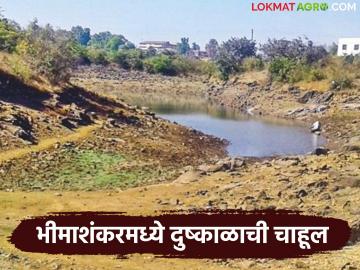 भीमाशंकर-पाटण-आहुपे खोऱ्यात दुष्काळाची भीती; तेरुंगण पाझर तलावाची पातळी देखील घटली - Marathi News | Fear of drought in Bhimashankar-Patan-Ahupe valley; Level of Terungan Pazar Lake also decreased | Latest News at Lokmat.com