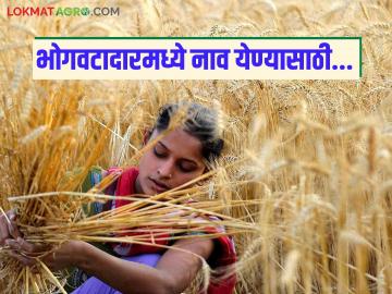 मुलींचे वडील हयात असतानांही त्यांना शेतजमिनीत हिस्सा मिळू शकतो? काय आहे नियम; वाचा सविस्तर - Marathi News | Can daughters get share in agricultural land even if their father is alive? What are the rules; Read in detail | Latest News at Lokmat.com मुलींचे वडील हयात असतानांही त्यांना शेतजमिनीत हिस्सा मिळू शकतो? काय आहे नियम; वाचा सविस्तर - Marathi News | Can daughters get share in agricultural land even if their father is alive? What are the rules; Read in detail | Latest News at Lokmat.com