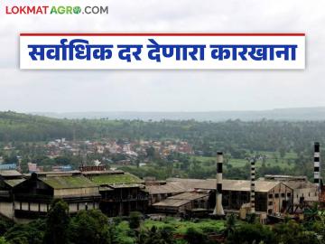 भोगावती साखर कारखान्याने डिसेंबरअखेरचे ऊस बिल केले जमा; उसाला दिला राज्यात उच्चांकी दर - Marathi News | Bhogavati Sugar Factory pays sugarcane bill for December; offers highest sugarcane price in the state | Latest News at Lokmat.com