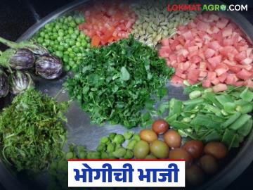 Bhogi Bhaji : या एका भाजीमुळे हिवाळ्यात आजार दूर; भोगीची भाजी का आहे खास? वाचा सविस्तर - Marathi News | latest news Bhogi Bhaji: This one vegetable keeps diseases away in winter; Why is Bhogi Bhaji special? | Latest News at Lokmat.com