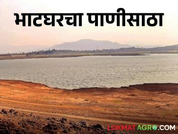 या ब्रिटिशकालीन धरणात सध्या इतका टक्के पाणीसाठा शिल्लक - Marathi News | This British-era dam currently has such a percentage of water remaining | Latest News at Lokmat.com