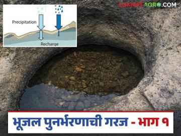 Water Level : लक्षात येतंय का? पाणी खाली जातंय, पाणी उपसण्याचा वेग वाढतोय! वाचा सविस्तर  - Marathi News | Latest News Agriculture News Water withdrawal rate is high, groundwater recharge is needed | Latest News at Lokmat.com