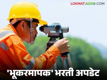 भूमी अभिलेख विभागात 'या' पदासाठी ९०३ जागांची भरती; पात्रता आणि अर्जप्रक्रिया जाणून घ्या सविस्तर - Marathi News | Recruitment for 903 posts in Land Records Department; Know the eligibility and application process in detail | Latest News at Lokmat.com भूमी अभिलेख विभागात 'या' पदासाठी ९०३ जागांची भरती; पात्रता आणि अर्जप्रक्रिया जाणून घ्या सविस्तर - Marathi News | Recruitment for 903 posts in Land Records Department; Know the eligibility and application process in detail | Latest News at Lokmat.com