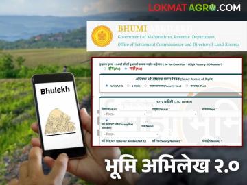 Bhumi Abhilekh : सातबारा, ८अ, फेरफार आदींसह अन्य सेवा एकाच प्लॅटफॉर्मवर, वाचा सविस्तर  - Marathi News | Latest News Satbara, 8A, Pherfar etc. along with other services on bhumi abhilekh new website, read in detail | Latest News at Lokmat.com