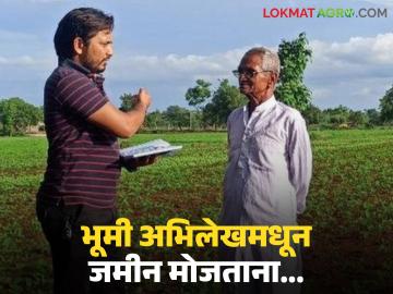 भूमी अभिलेखकडून जमीन मोजून घेताना 'या' चुका टाळा, नाशिकमध्ये पहा काय घडलं?  - Marathi News | Latest news Bhumi abhilekh Avoid 'these' mistakes while measuring land from land records | Latest News at Lokmat.com