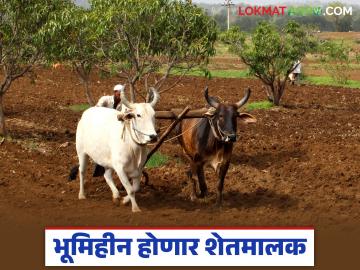भूमिहीनांना मिळणार आता शेतजमीनचा लाभ; खरेदीसाठी एकरी किती ठरवला आहे दर? - Marathi News | Landless people will now get the benefit of agricultural land; What is the price per acre for purchase? | Latest News at Lokmat.com भूमिहीनांना मिळणार आता शेतजमीनचा लाभ; खरेदीसाठी एकरी किती ठरवला आहे दर? - Marathi News | Landless people will now get the benefit of agricultural land; What is the price per acre for purchase? | Latest News at Lokmat.com