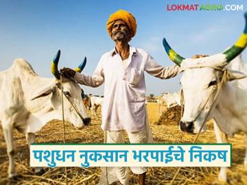 जंगली प्राण्यांनी गोठ्यातील गाय, म्हैस, शेळीवर हल्ला केल्यास किती नुकसान भरपाई मिळते? - Marathi News | Latest news How much compensation is given if wild animals attack cows, buffaloes, or goats | Latest News at Lokmat.com जंगली प्राण्यांनी गोठ्यातील गाय, म्हैस, शेळीवर हल्ला केल्यास किती नुकसान भरपाई मिळते? - Marathi News | Latest news How much compensation is given if wild animals attack cows, buffaloes, or goats | Latest News at Lokmat.com