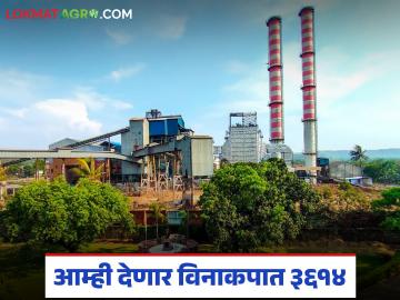कोल्हापूर जिल्ह्यातील 'ह्या' कारखान्याने केली सुधारित दराची घोषणा; आता विनाकपात ३६१४ रुपये देणार - Marathi News | 'This' factory in Kolhapur district announces revised sugarcane rate; Now it will pay Rs 3614 without any deduction | Latest News at Lokmat.com