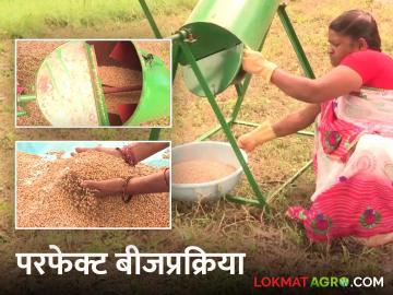 Beej Prakriya : बीजप्रक्रियेचे चांगले रिजल्ट मिळण्यासाठी प्रक्रिया करतांना काय कराल बदल - Marathi News | Beej Prakriya : What would you change during the process to get better results of the seed treatment? | Latest News at Lokmat.com