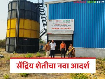 Bio-Prom Project Success : महिलांची ताकद! शेतीतून उभारला १.२७ कोटींचा प्रकल्प वाचा सविस्तर