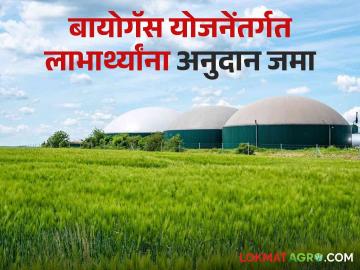 Biogas Yojana : बायोगॅस अनुदानासाठी १५ लाखांचा निधी मंजूर - Marathi News | Biogas Yojana: 15 lakhs sanctioned for biogas subsidy | Latest News at Lokmat.com Biogas Yojana : बायोगॅस अनुदानासाठी १५ लाखांचा निधी मंजूर - Marathi News | Biogas Yojana: 15 lakhs sanctioned for biogas subsidy | Latest News at Lokmat.com